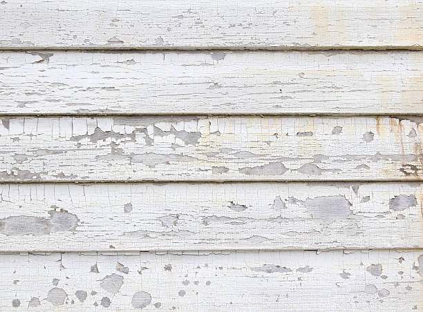 Recycling Services for Junk in Ellsworth, WI